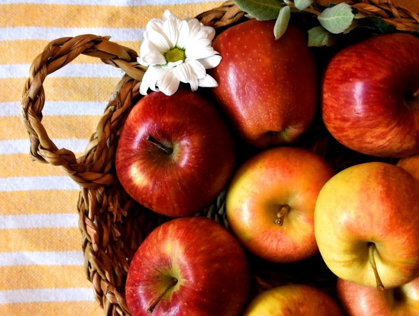 Kış Öncesi Beslenme ve Spor Düzeni Önerileri