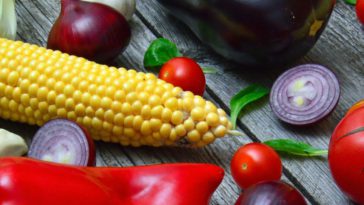 Çiğ Beslenme Nedir? Çiğ Beslenme Zayıflatır mı kapak