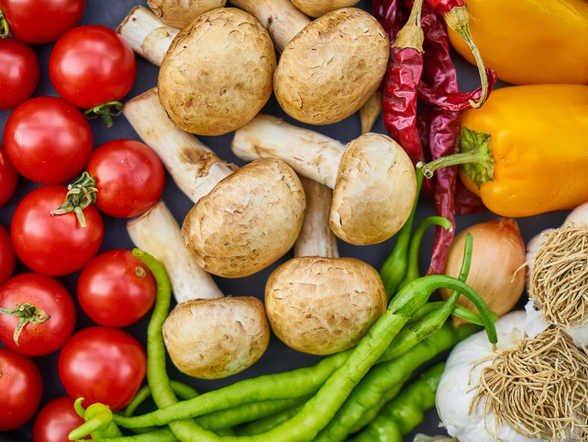 Alkali Beslenme Nedir