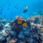 Talassofobi (Deniz Korkusu) Nedir, Nasıl Geçer?
