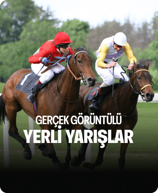 Gerçek Görüntülü Yerli Yarışlar