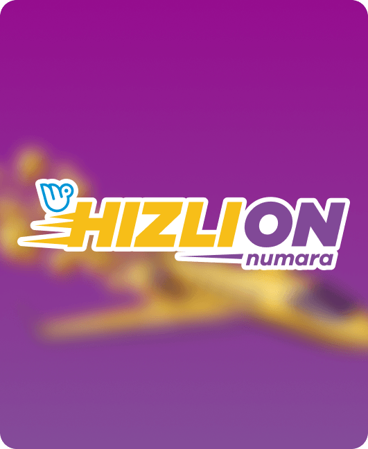 Hızlı On Numara