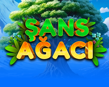 /kazi-kazan/sans-agaci