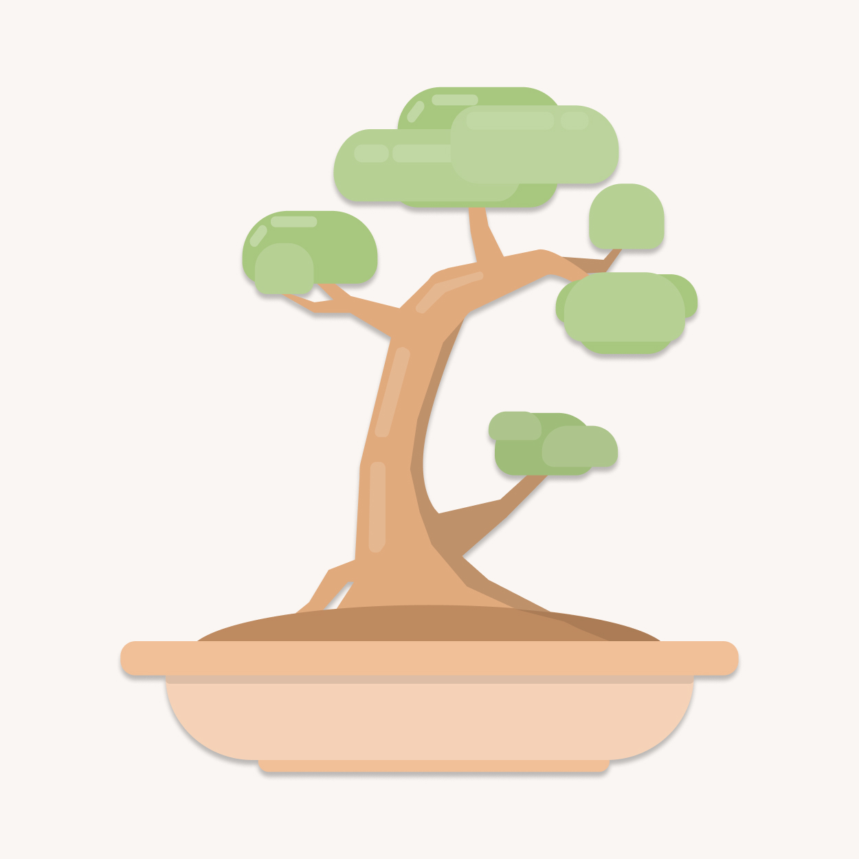 Bonsai Tree