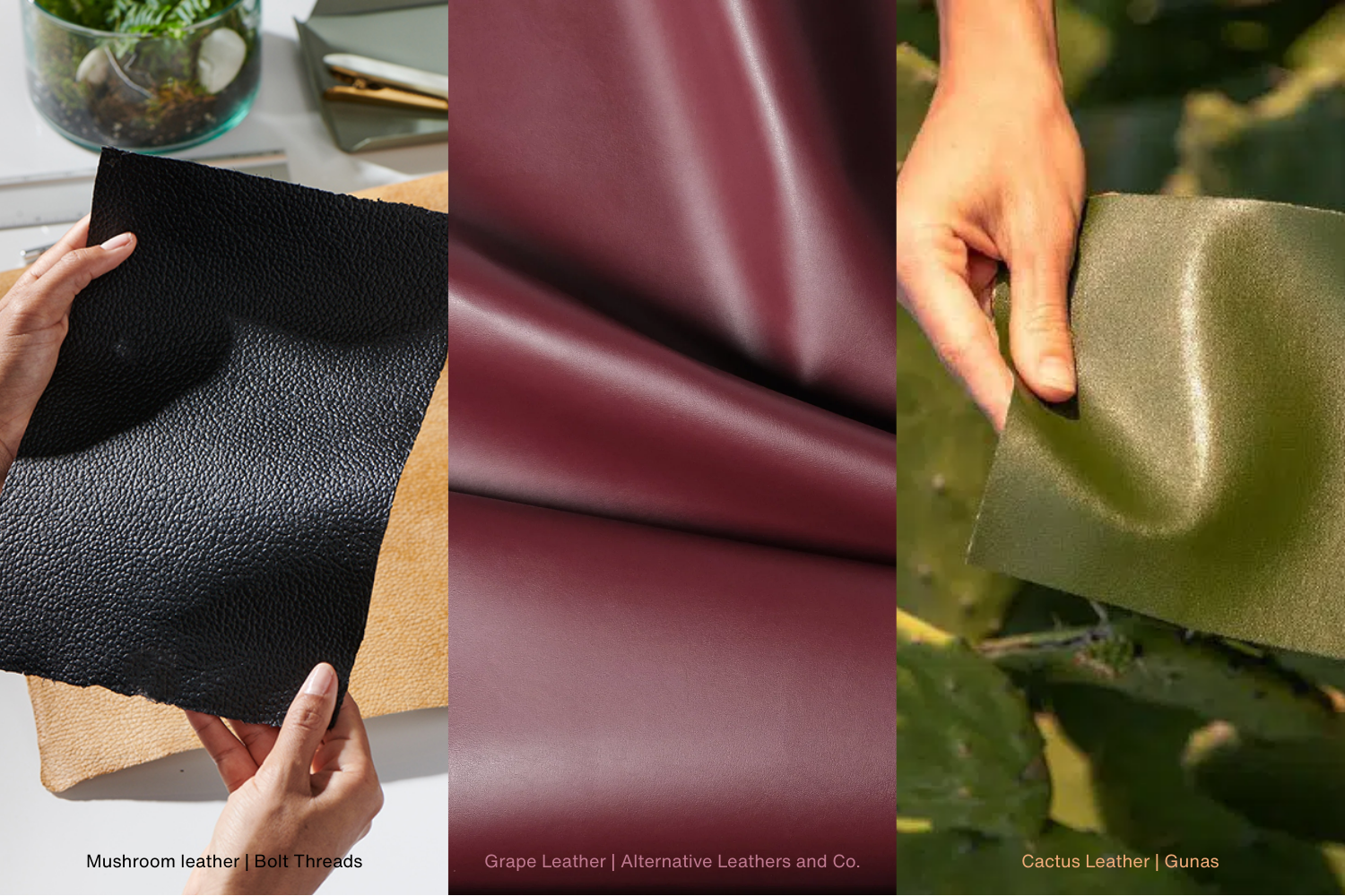 Three types of plant-based leather alternatives displayed side-by-side: on the left, a hand holds a textured sheet of black mushroom leather; in the center, smooth burgundy grape leather is folded to show its finish; on the right, a hand holds a piece of green cactus leather against a backdrop of cactus plants.
