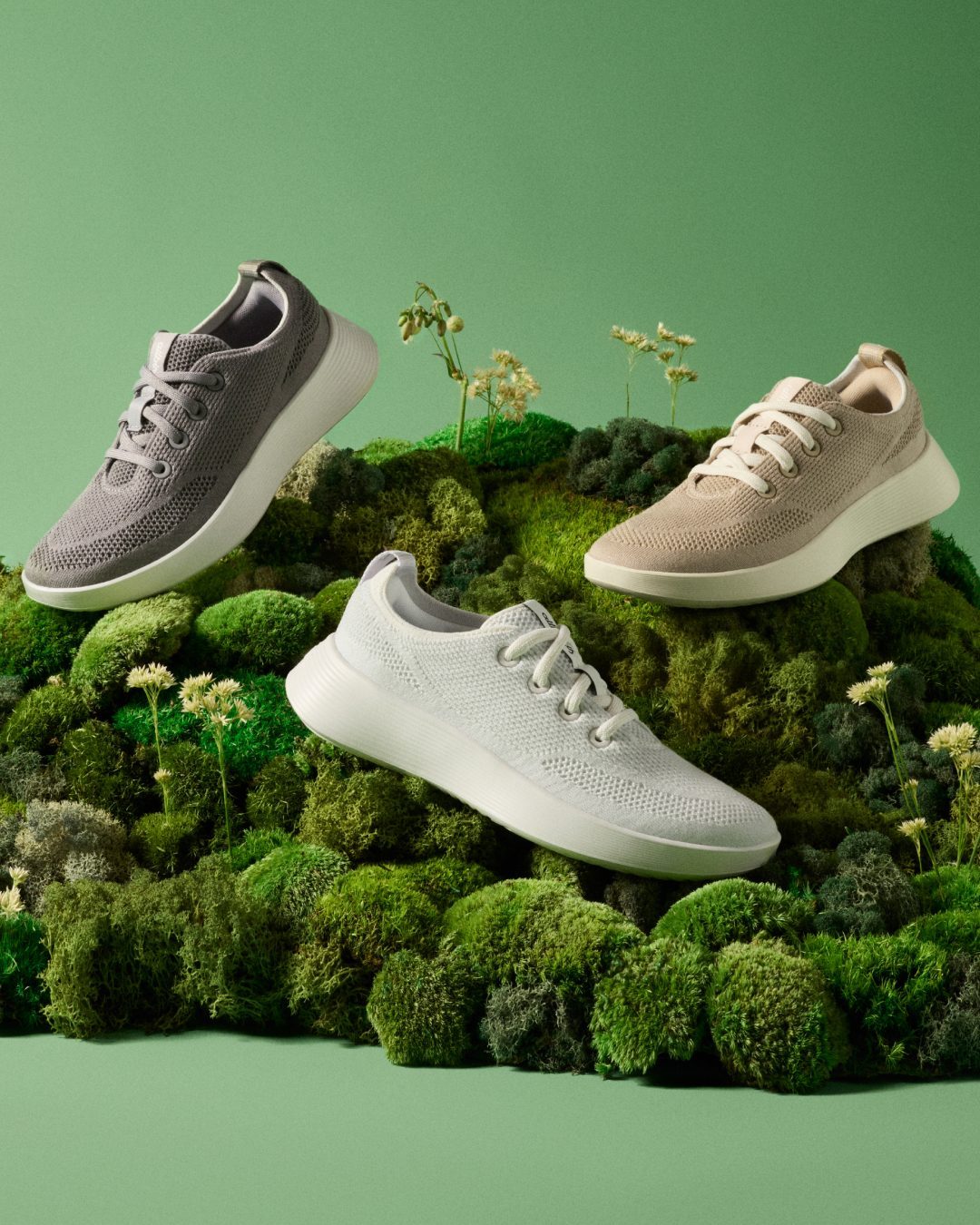 Allbirds 