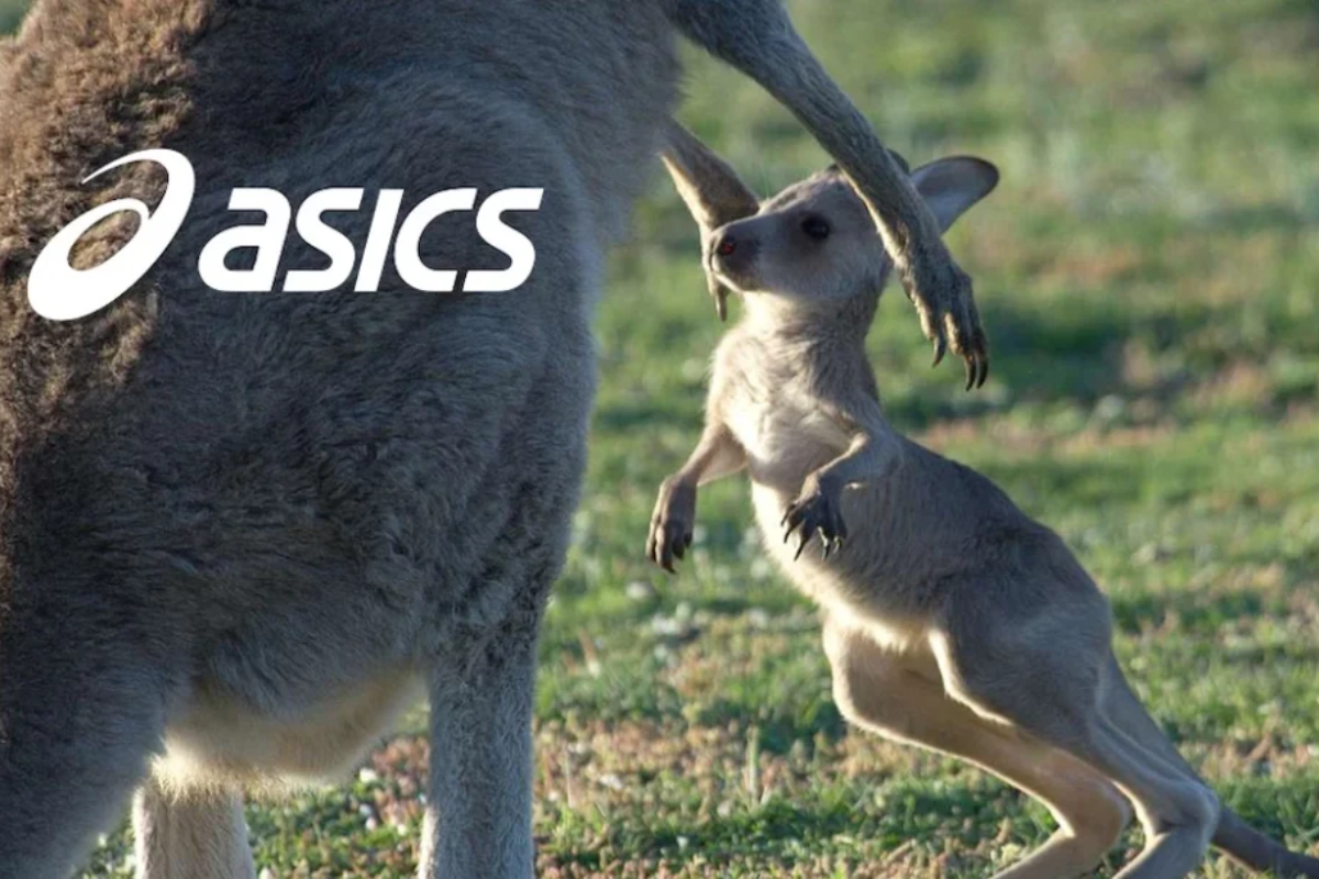 Kangaroos Are Not Shoes Campaign