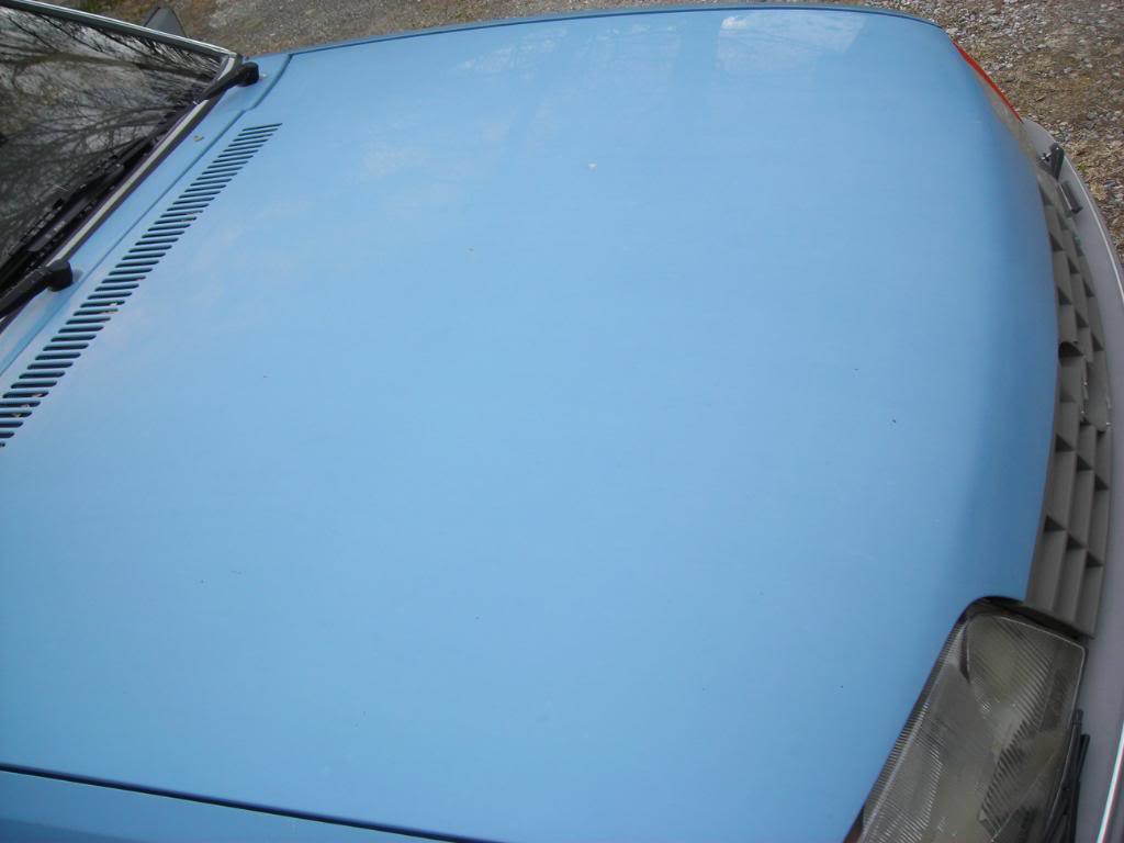 004-8.jpg