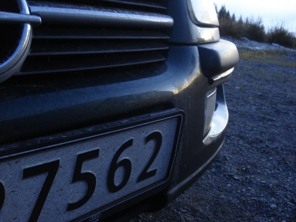 010.jpg