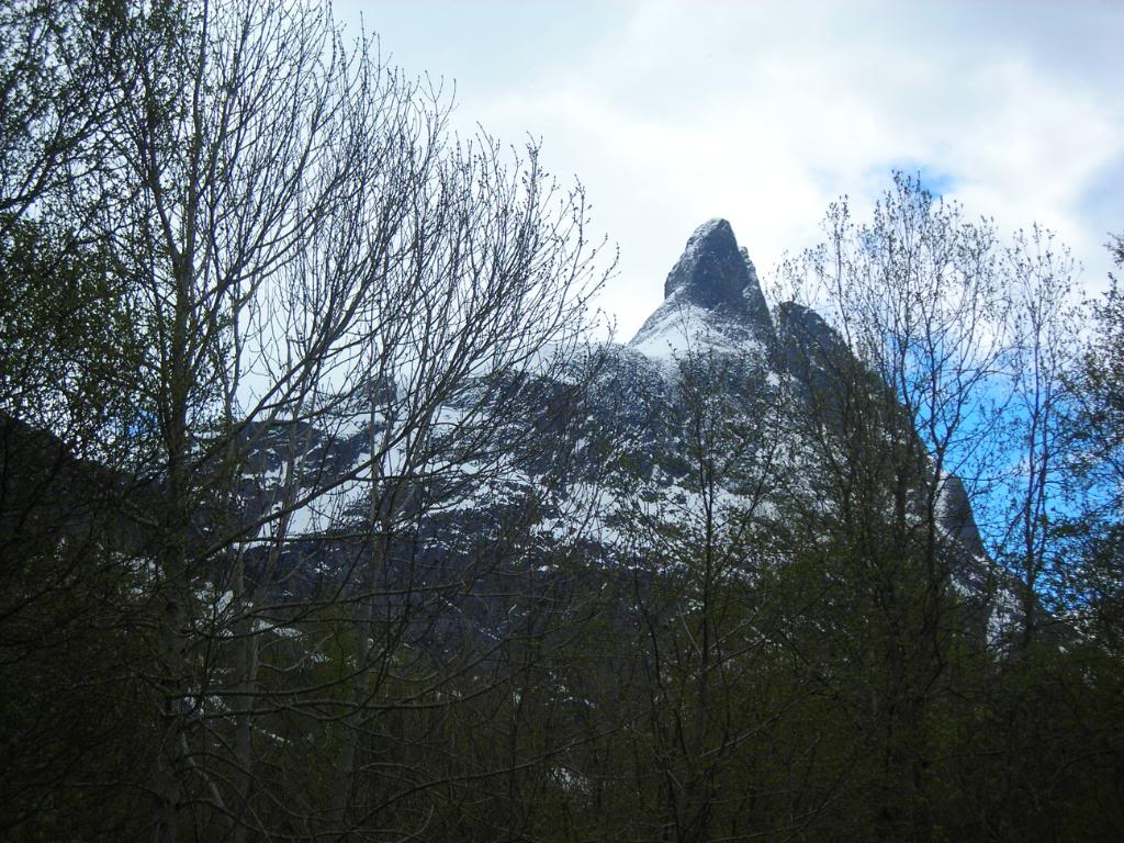 012-5.jpg