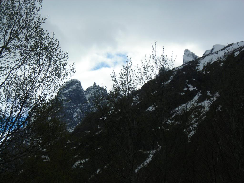 014-6.jpg