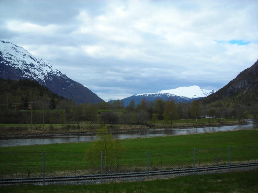 016-6.jpg