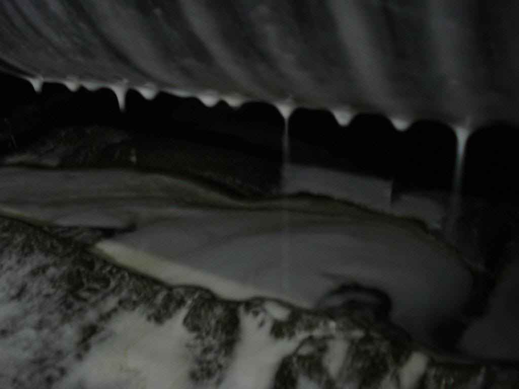 030.jpg