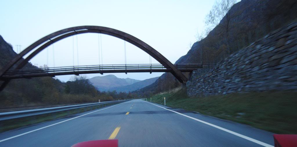 035-7.jpg
