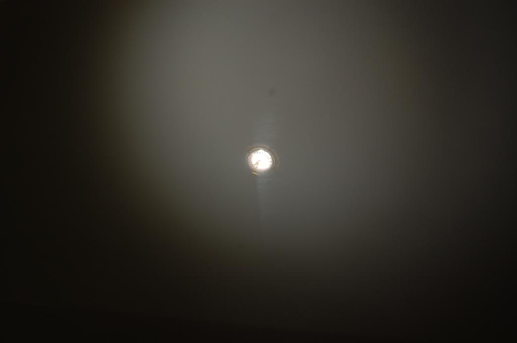 036.jpg
