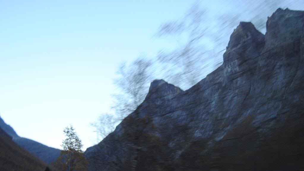 039-7.jpg