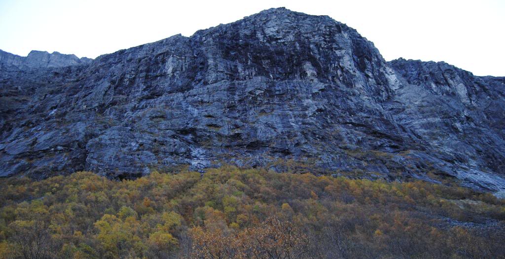 041-6.jpg