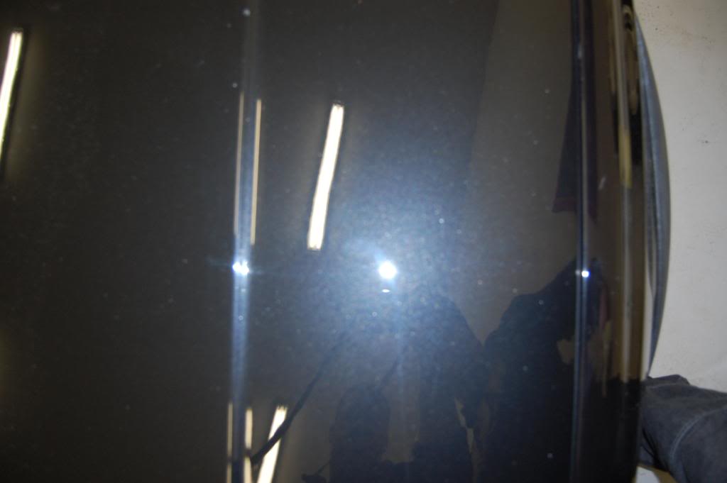 050.jpg