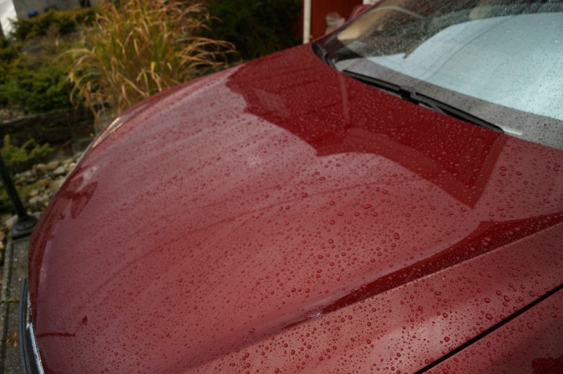 06fd4b828cf1cbfa.jpg