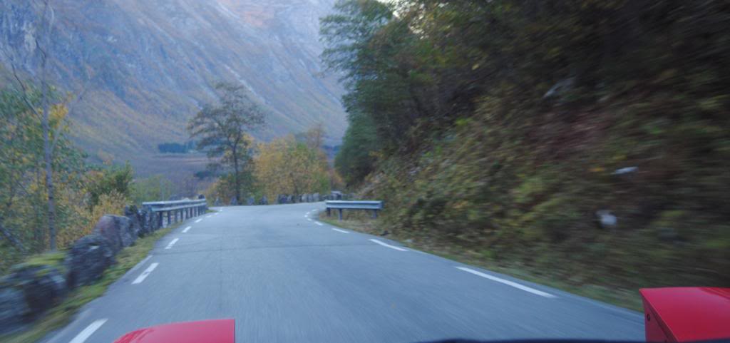 098-1.jpg