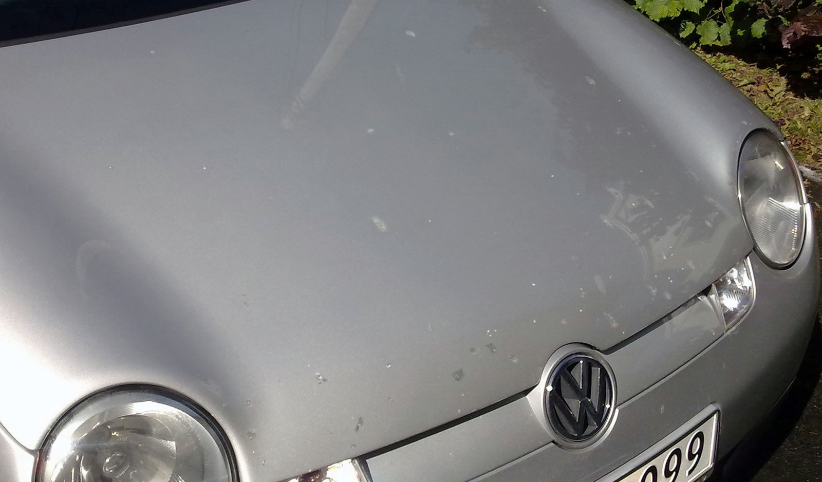 10072010163.jpg