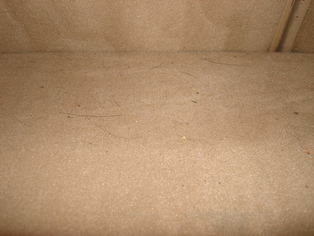 135_zpswpr4m7mv.jpg