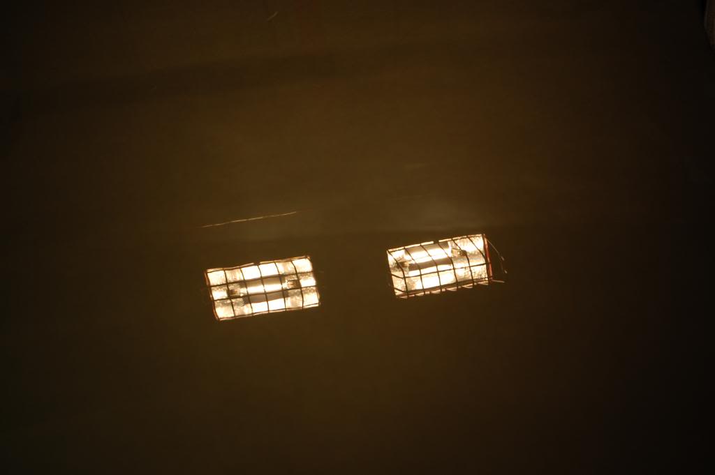 169.jpg