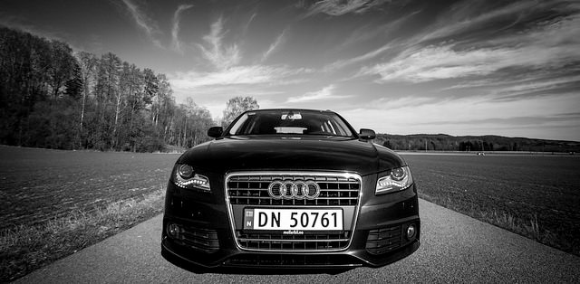 17201113232_168692c64b_z.jpg