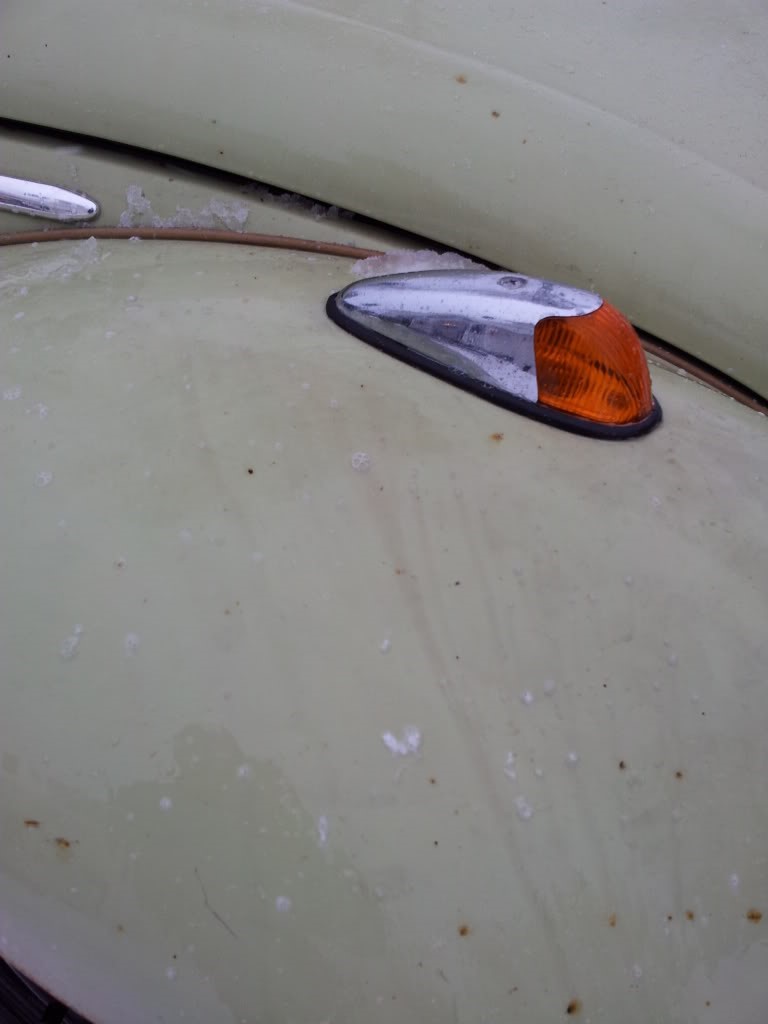 20120218_104929.jpg