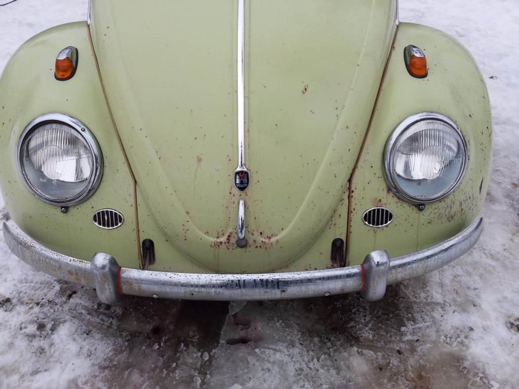 20120218_115329.jpg