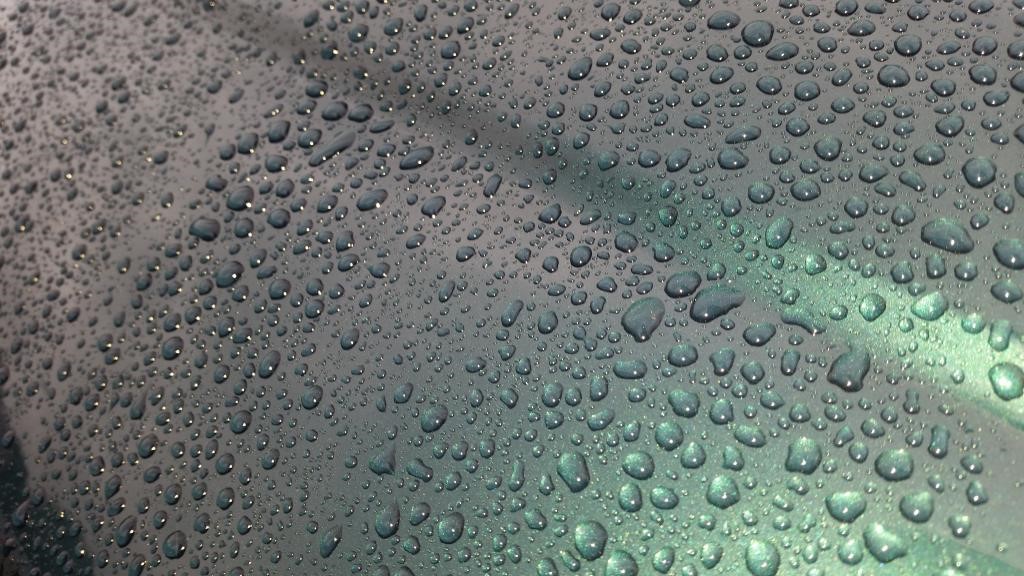 20141020_153321_zps9606ebd5.jpg