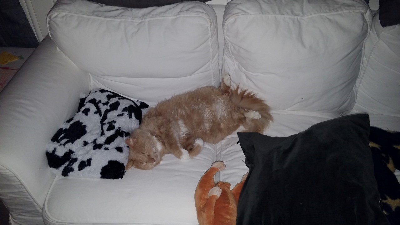 20141218_004035.jpg