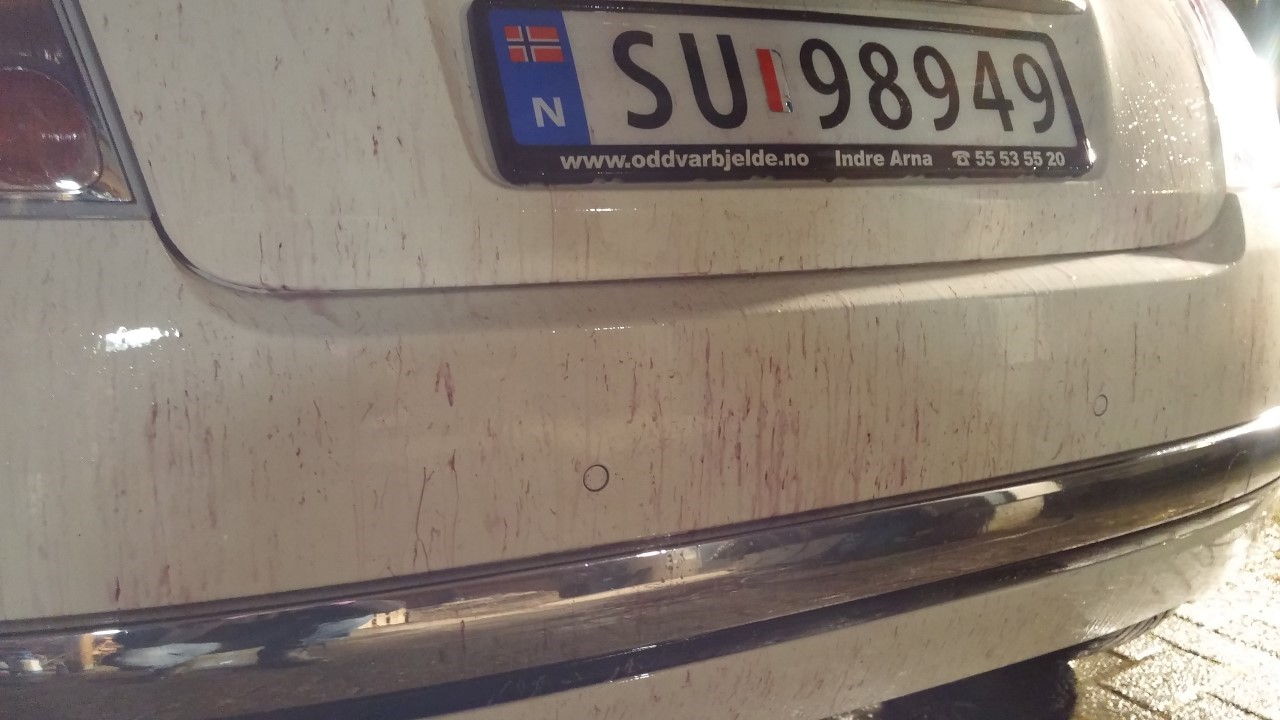 20150320_203523.jpg