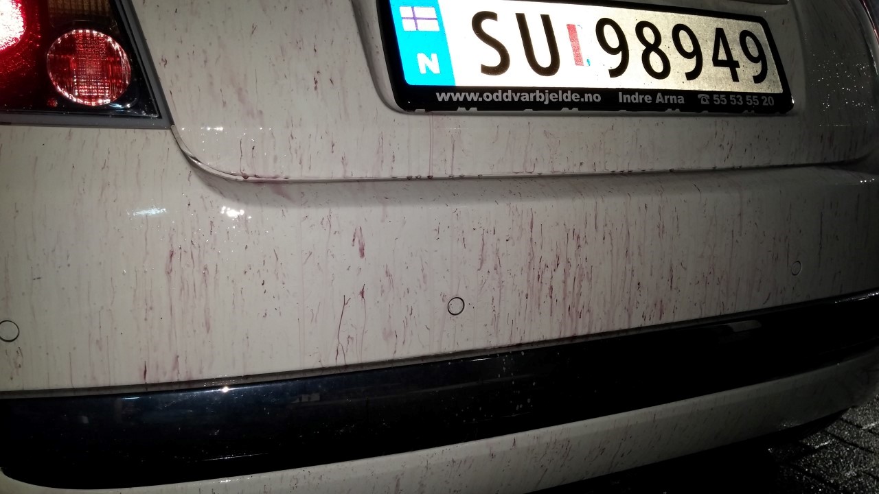 20150320_203529.jpg
