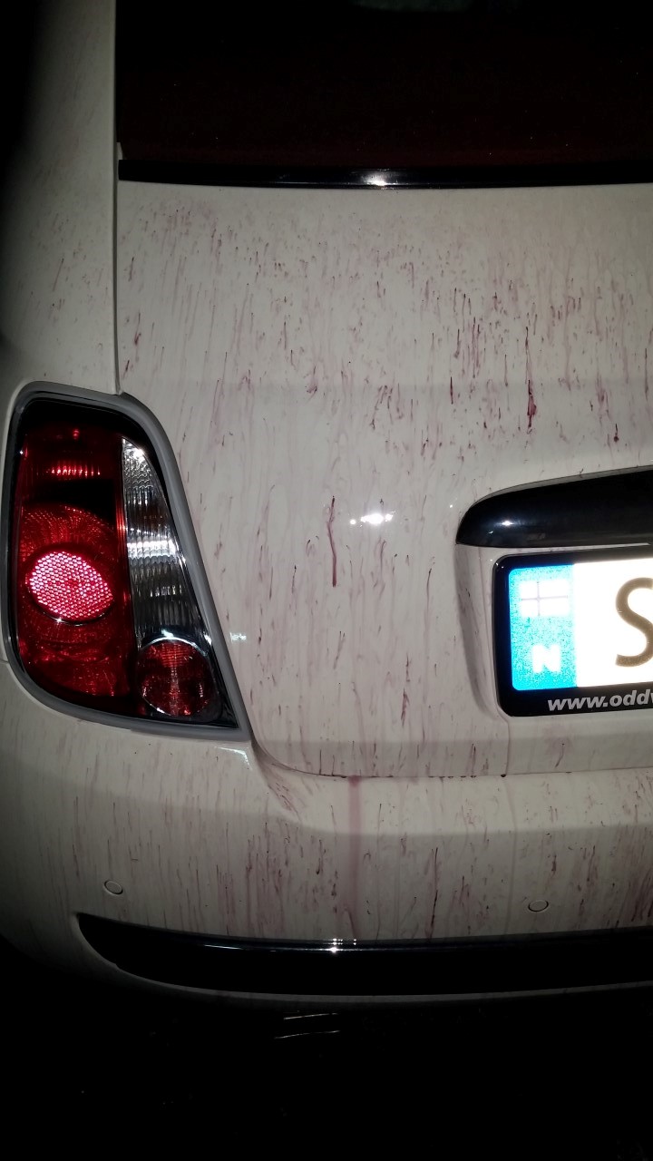 20150320_204351.jpg
