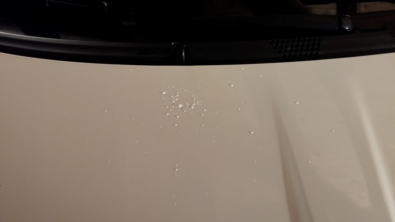 20150322_222448.jpg