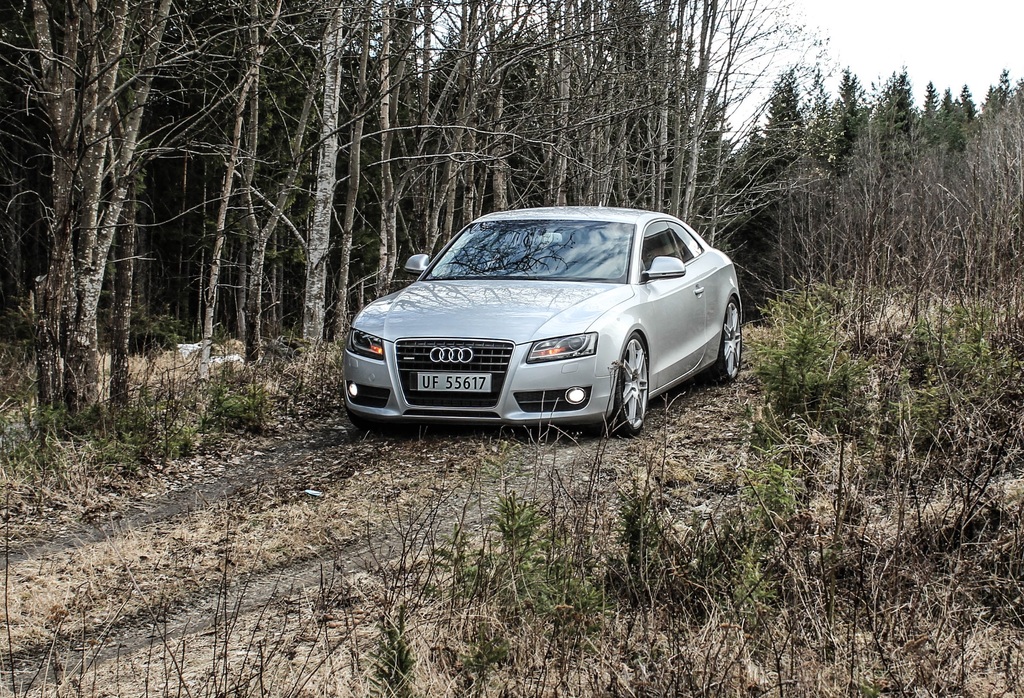 20150422-IMG_2467_zpsul7cxfll.jpg