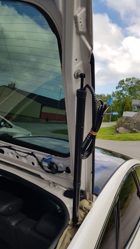 20190609_161836_zpsorkel8zu.jpg