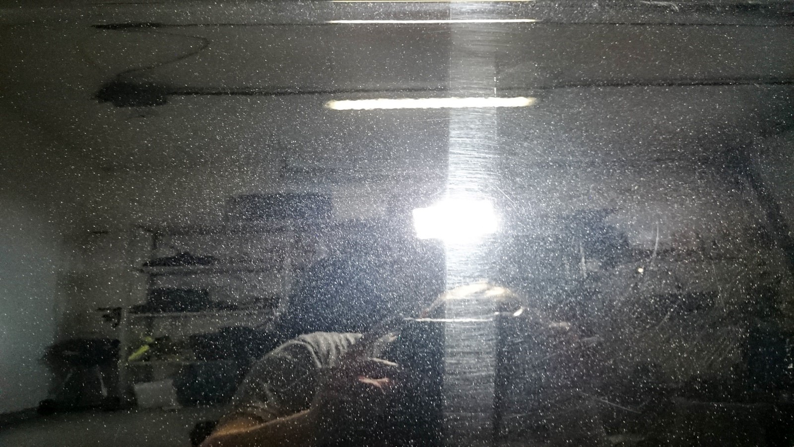 22084895043_7602dba6d9_h.jpg