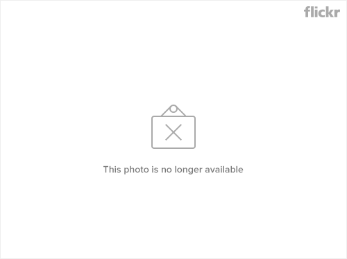 22706110825_e8a9a711fe_h.jpg