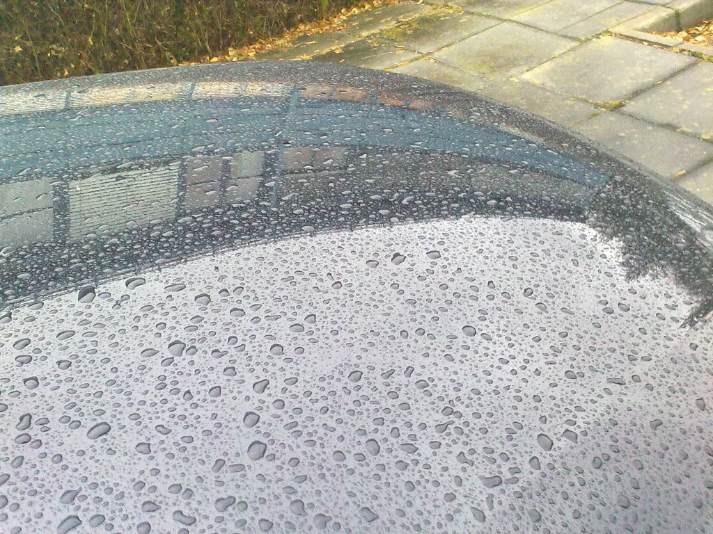 27102010018.jpg