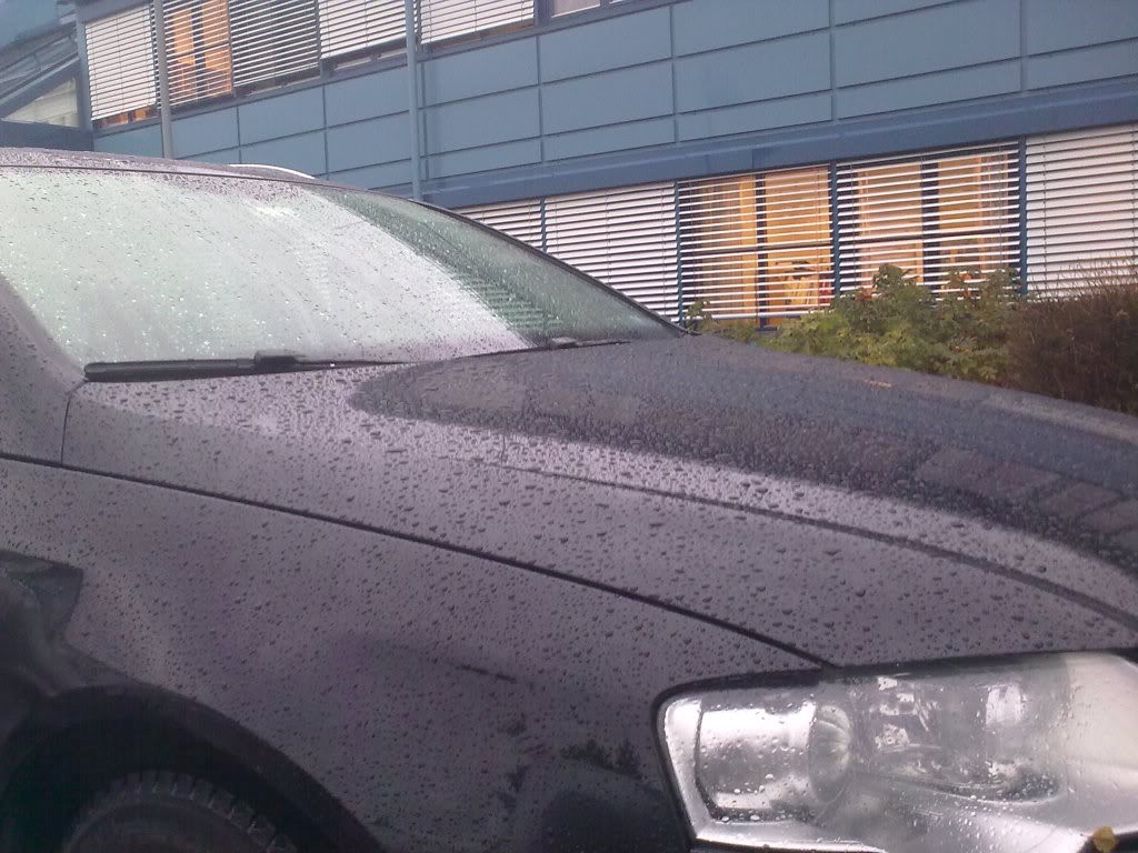 27102010019.jpg