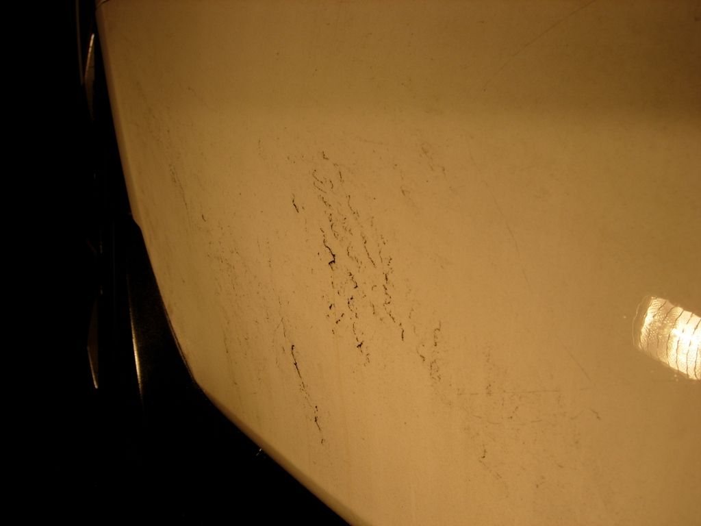 2f0e6898bce275ab.jpg