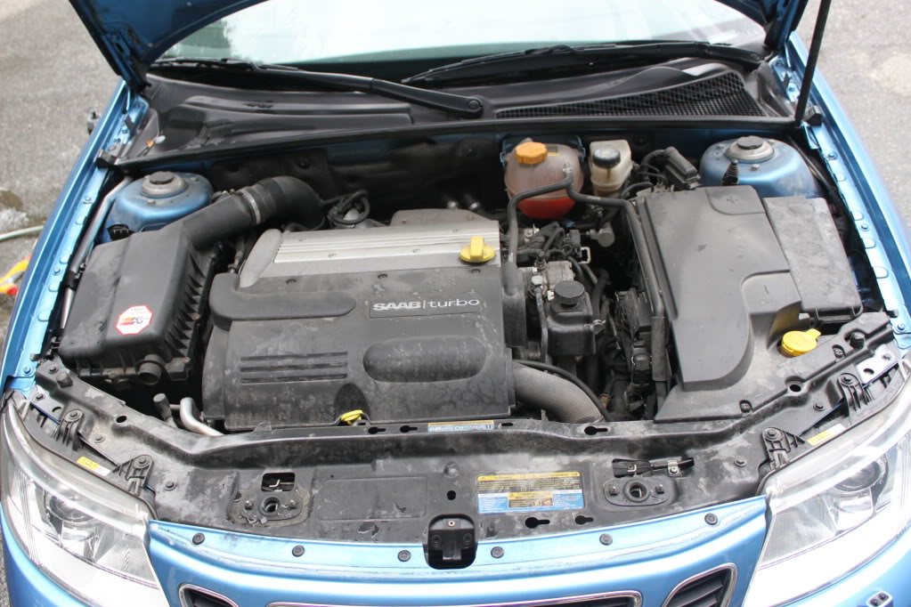 3102010213.jpg