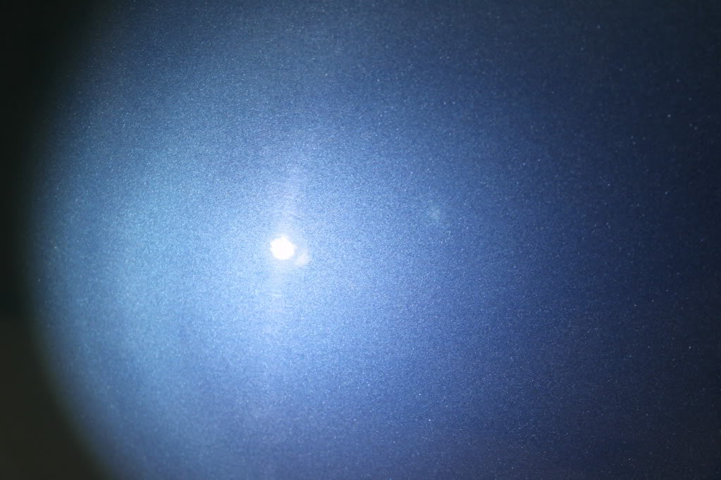 3102010217.jpg