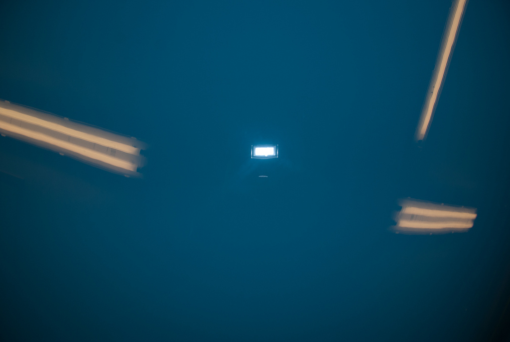 5178229648_f917ddc444_b_d.jpg