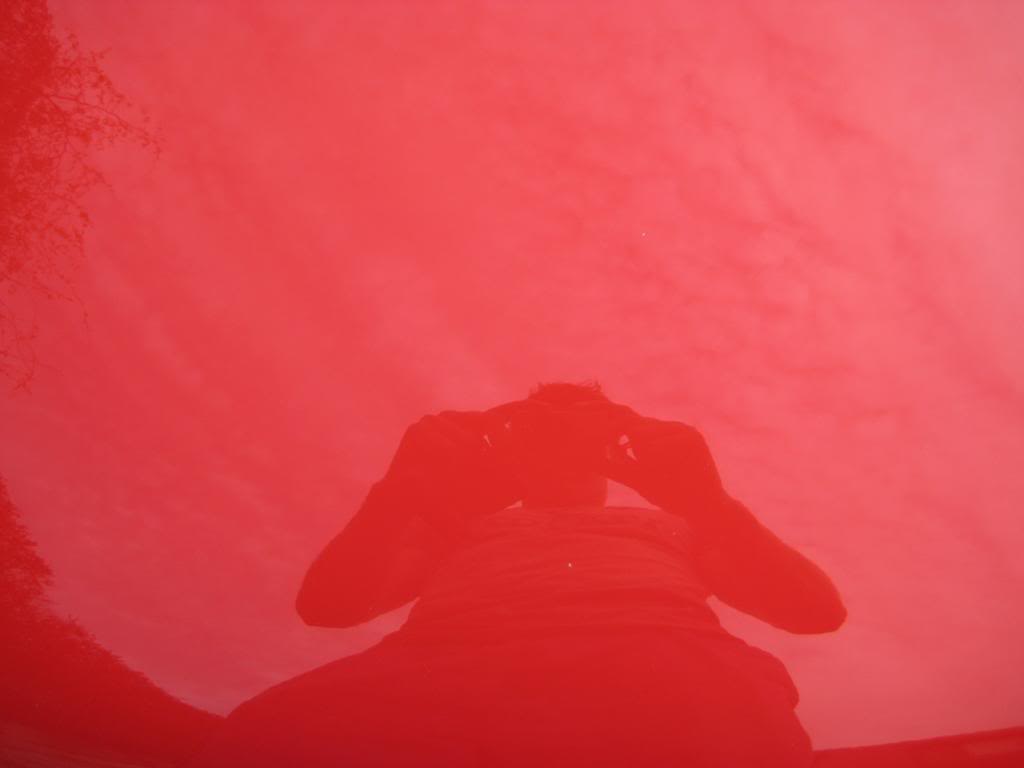 68.jpg