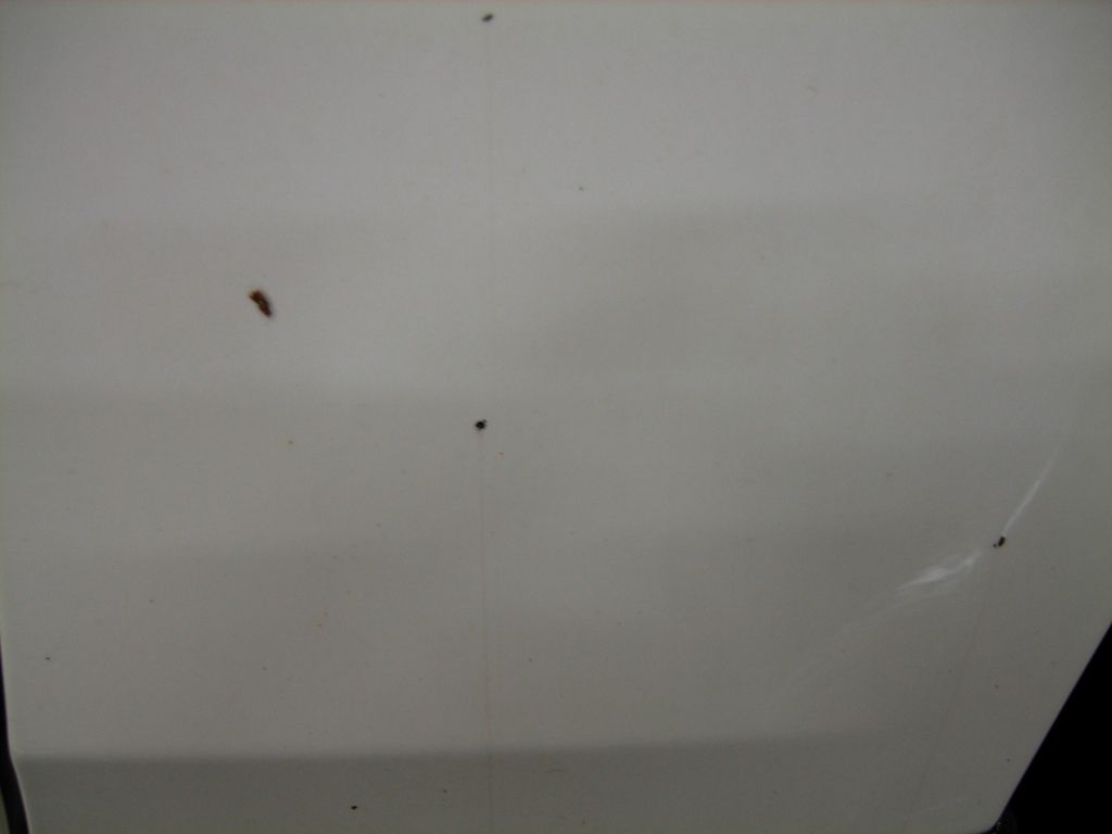 75ef40e0fdab900e.jpg