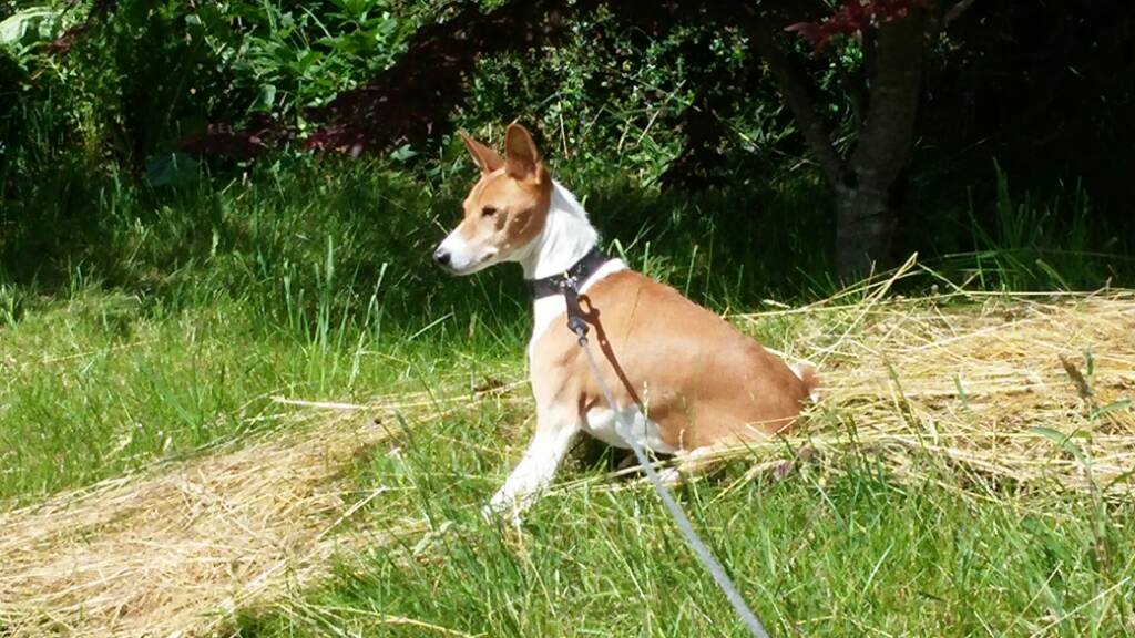 8befc6310545a65703d86a7af5cb62ce.jpg