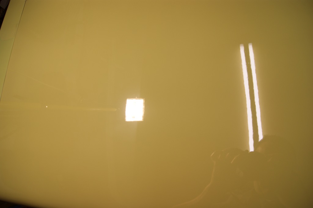 900.jpg